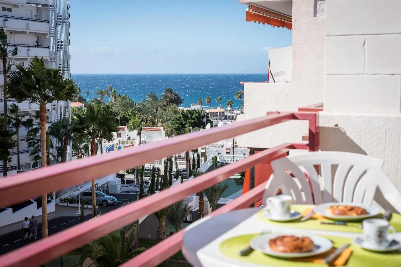 421 Olympia Central Studio Building Remodelling Playa de las Américas