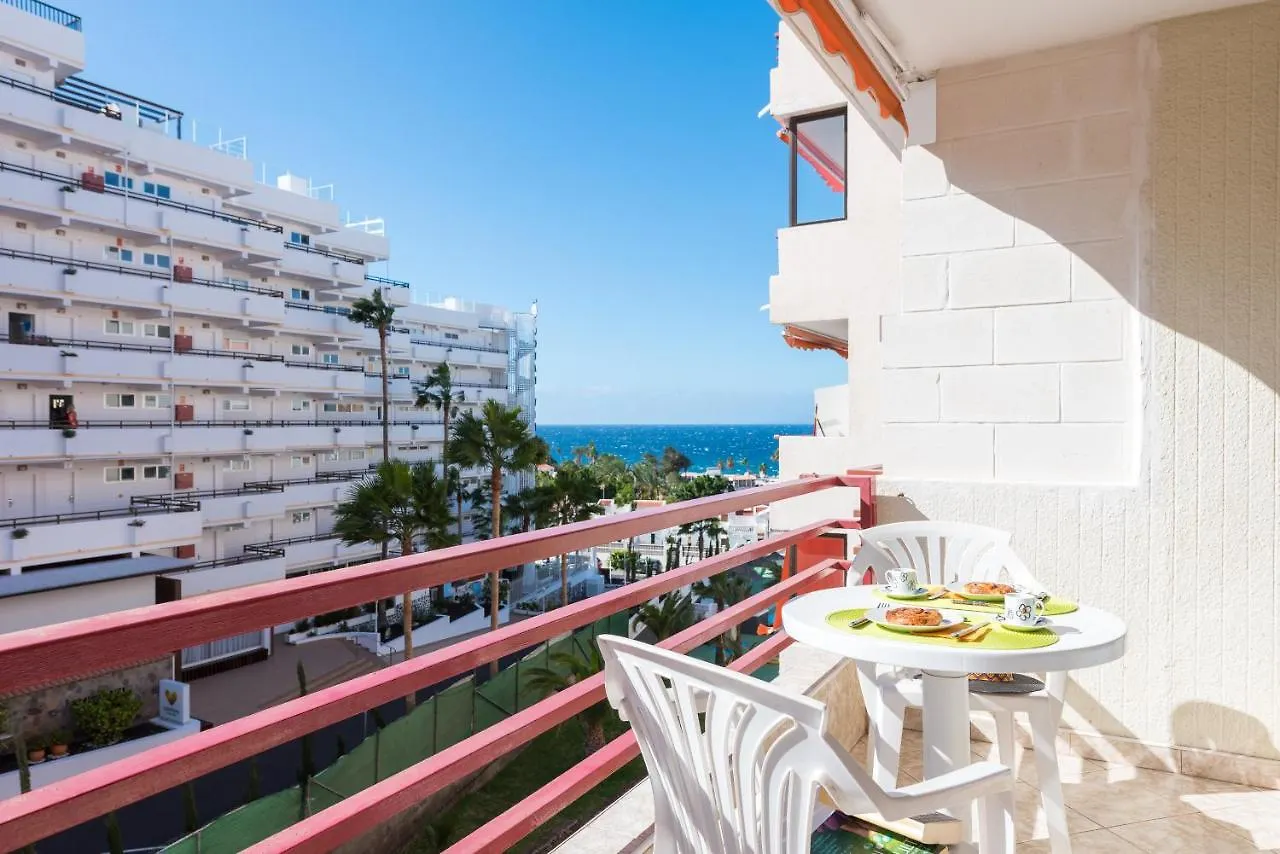 421 Olympia Central Studio Building Remodelling Playa de las Americas